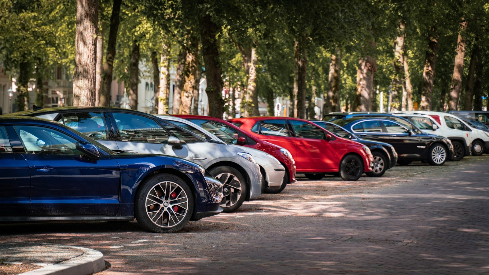 Ağaçlı otoparkta sıralı araçlar